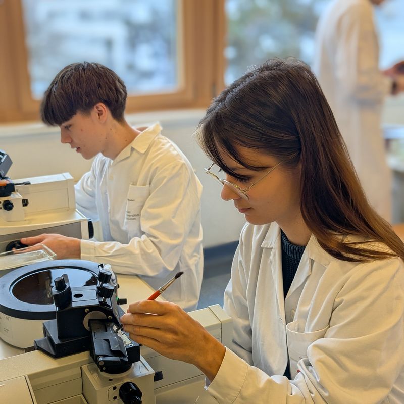 Schüler:innen im Laborkittel am Mikroskop