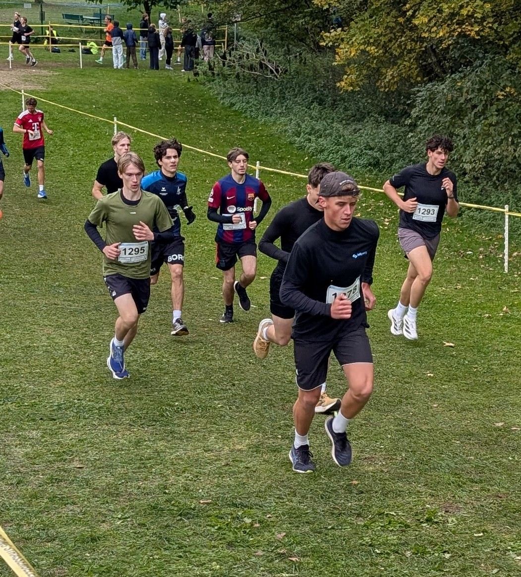 Läufergruppe auf der herbstlichen Crosslaufstrecke